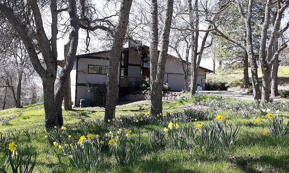Front view / spring flowers