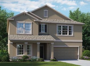 14214 Blue Dasher Dr, Riverview, FL 33569