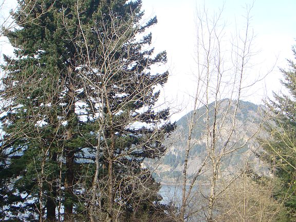 Partial Water View From Land