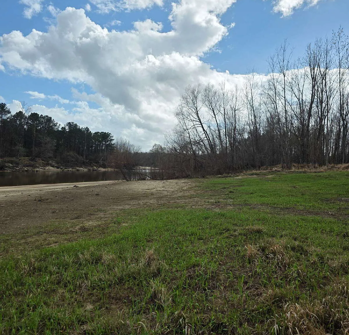 2 bed, 1.0 bath, 900 sqft, $3,200 — Photo 4