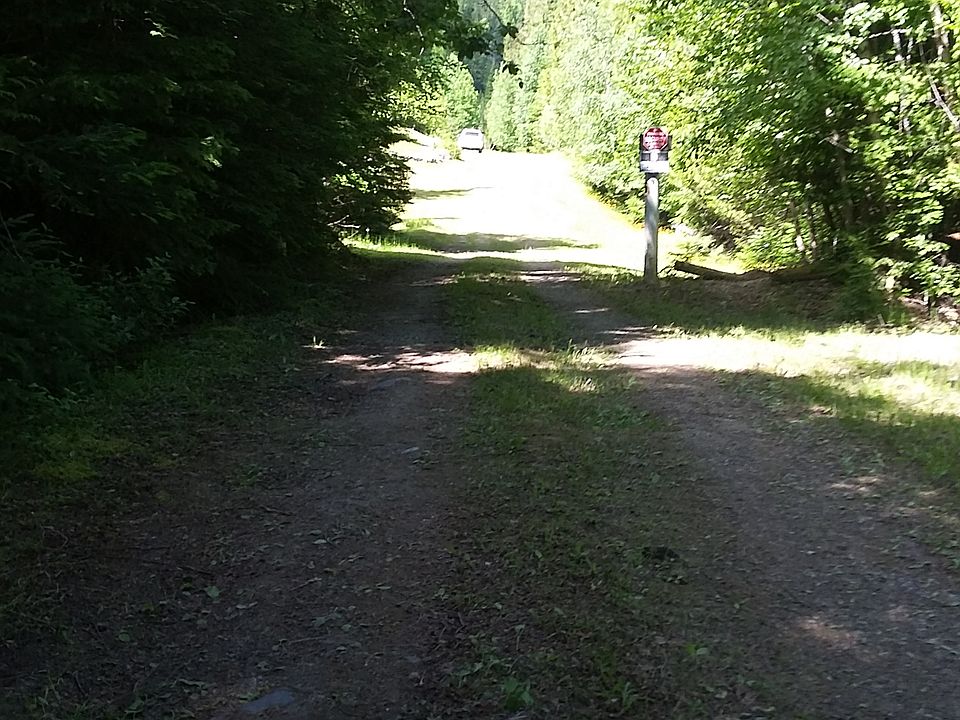 Coming up the drive to gate