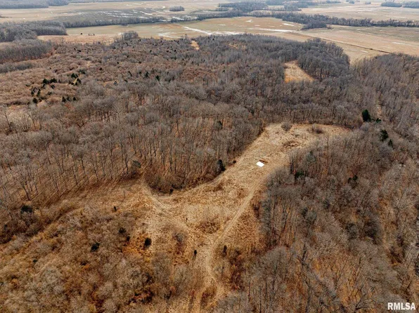 0 Propes Rd, Iuka, IL 62849