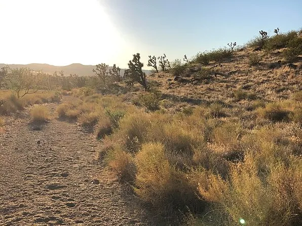 Rancho Dr, Dolan Springs, AZ 86441