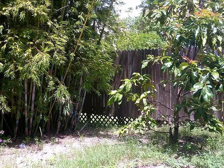 7955 101st Ct — Photo 16