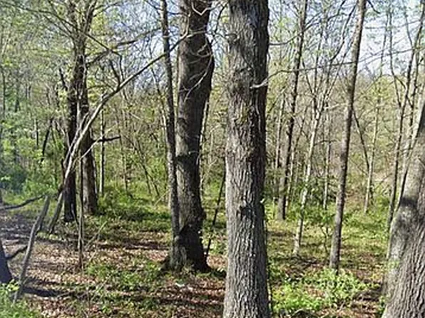 LOT 13 Coalburn Cir, Bella Vista, AR 72715