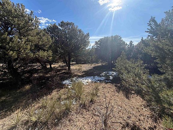 2nd image of 390 Cameron Pass Road