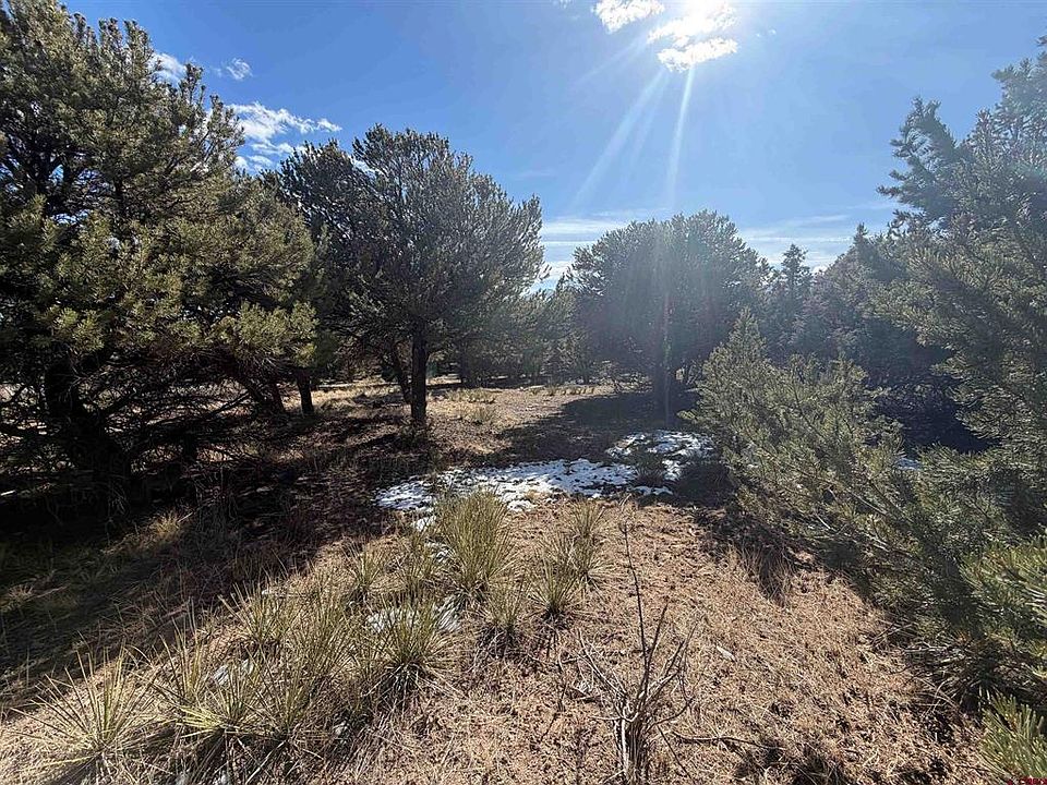 2nd image of 390 Cameron Pass Road