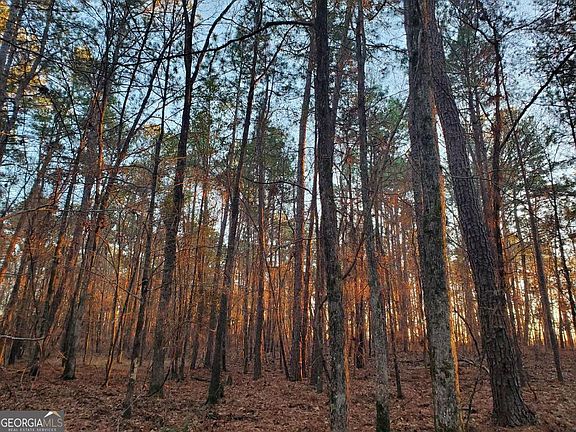 3rd image of 0 Mark Wood Rd