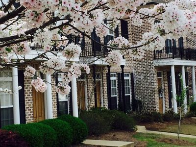 2206 Anderson Rd APT 2603, Oxford, MS, 38655