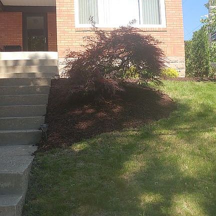 Front Yard