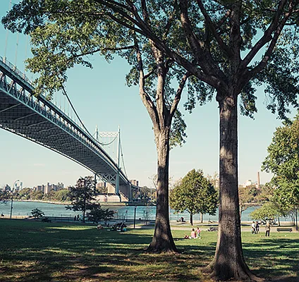 Rented by Blu Sky New York LLC | media 5