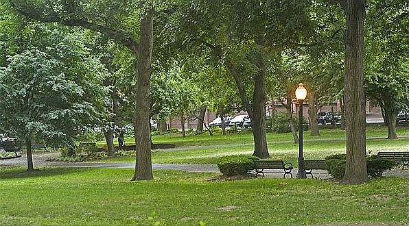 View of Knyvet Park