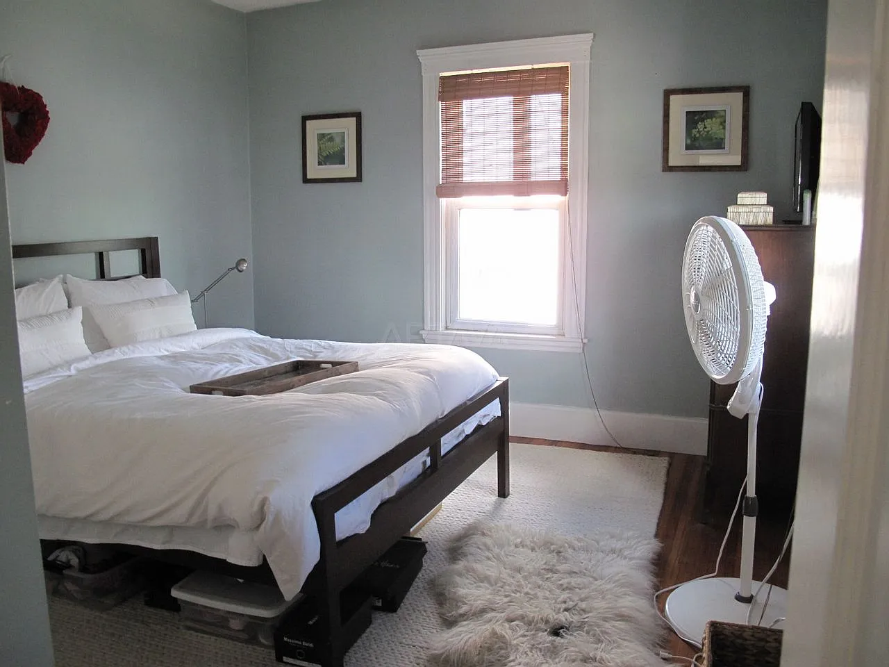 2 bed, 800 sqft, $3,000 — Photo 3