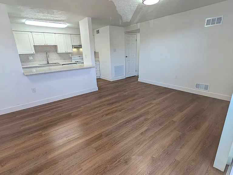 Living room, dining room and kitchen open plan