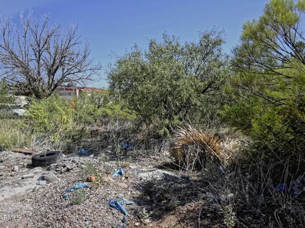 TBD N Gladiola Avenue #115, Douglas, AZ 85607