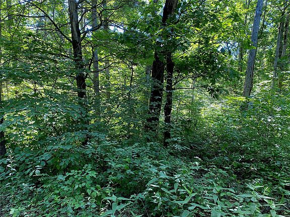 5th image of 5 Pinnacle Lake Rd