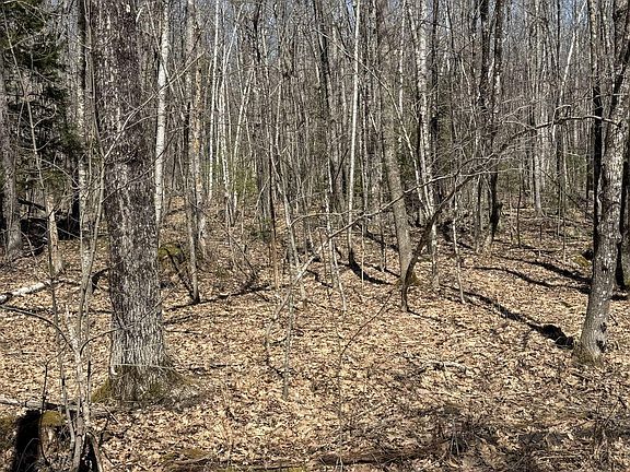 5th image of M14 L39 Sandy Point Road