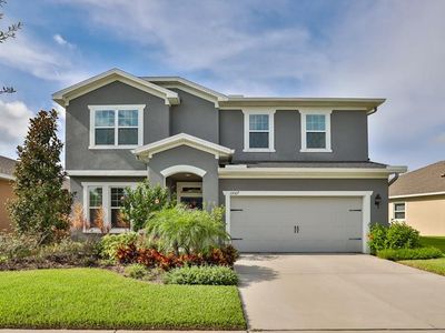 11867 Frost Aster Dr, Riverview, FL, 33579