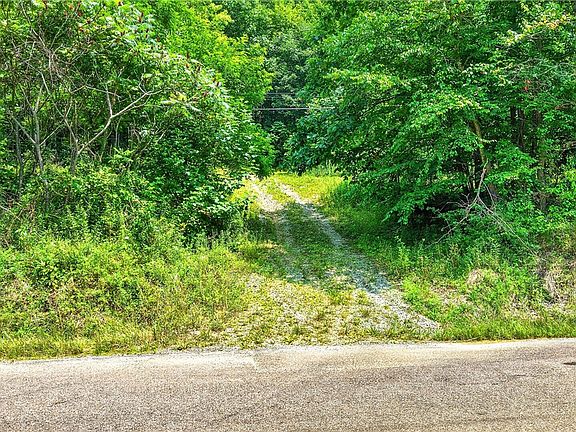 5th image of White Rd