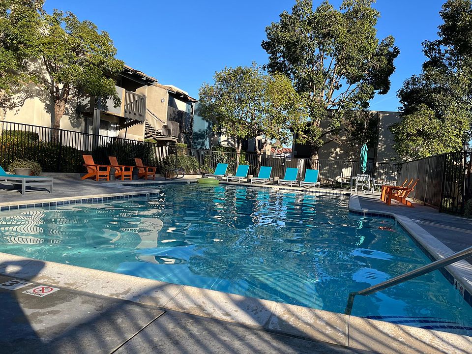 Wonderful pool - 7 ft deep end