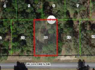 1439 W Dolores Dr, Citrus Springs, FL 34434