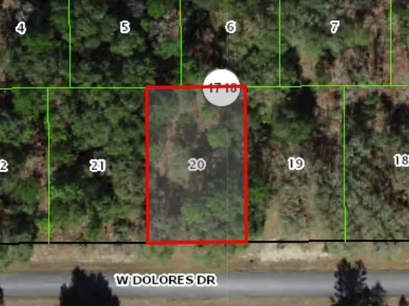 1439 W Dolores Dr, Citrus Springs, FL 34434