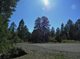 Big Canyon Point LOT 4, Ridgway, CO 81432