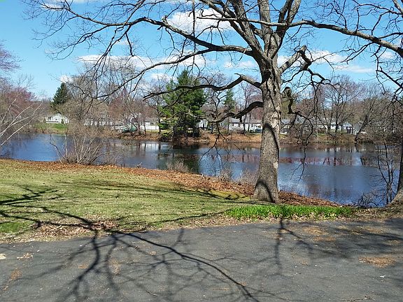Pond View 2