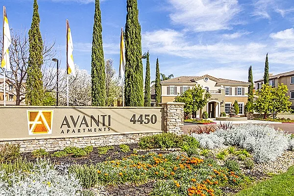 Avanti — Photo 38