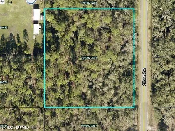 10155 ALLISON Avenue, Hastings, FL 32145