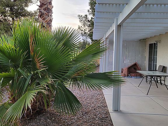 5th image of 5317 Fountain Palm St