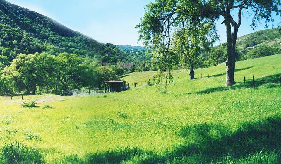 10 Acres of Paradise