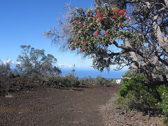 5th image of Moana Dr Lot 10
