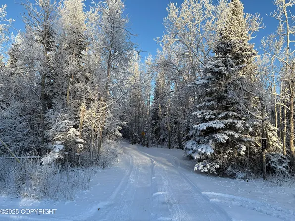 3448 Jack Warren Rd, Delta Junction, AK 99737