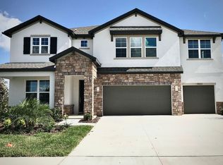 11833 Tetrafin Dr, Riverview, FL 33579