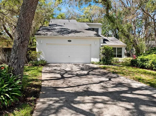 12004 N 53rd St, Temple Terrace, FL 33617