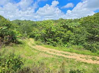 State Highway 155 Km #20-HM 8, Orocovis, PR 00720