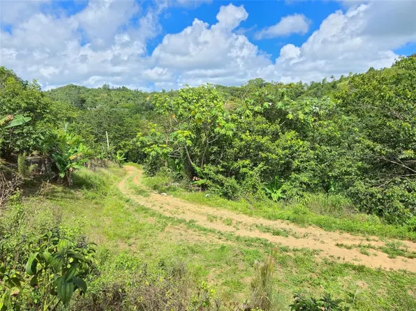 State Highway 155 Km #20-hm 8, Orocovis, PR 00720