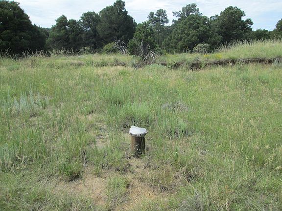 2nd image of LOT-45A Lot Phaze 2 Majors Rnch #45A