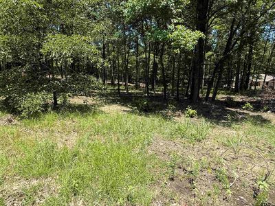 Private Road 5861 Lot 2, Yantis, TX, 75497