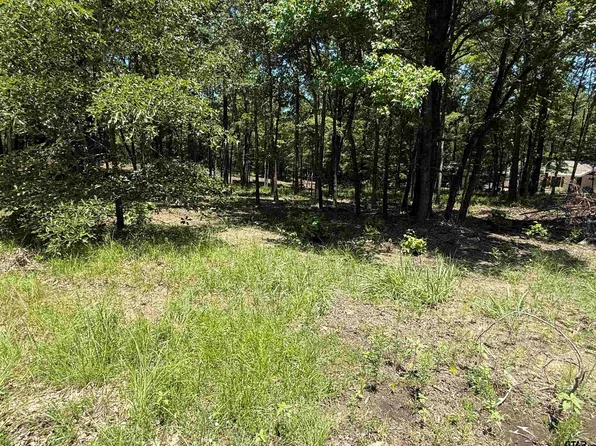 Private Road 5861 Lot 2, Yantis, TX 75497