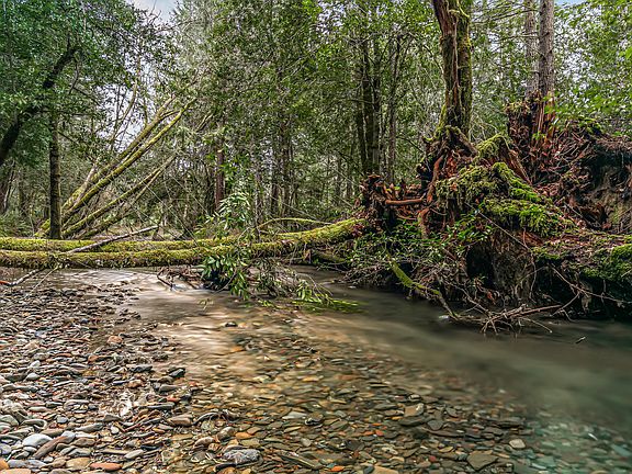 2nd image of 260 McMullen Creek Rd