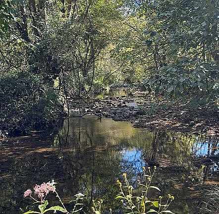 3rd image of 915 Chestnut Valley Rd