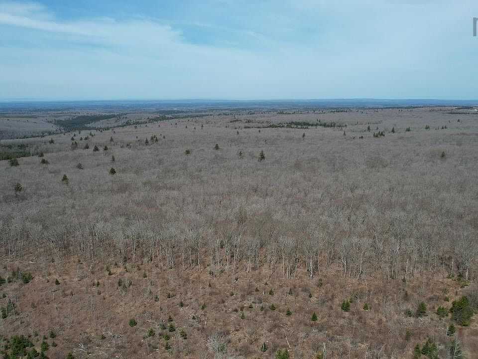 1st image of Lynn Rd