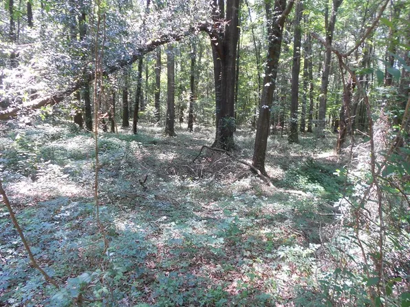 514 Patricia Dr, Montezuma, GA 31063