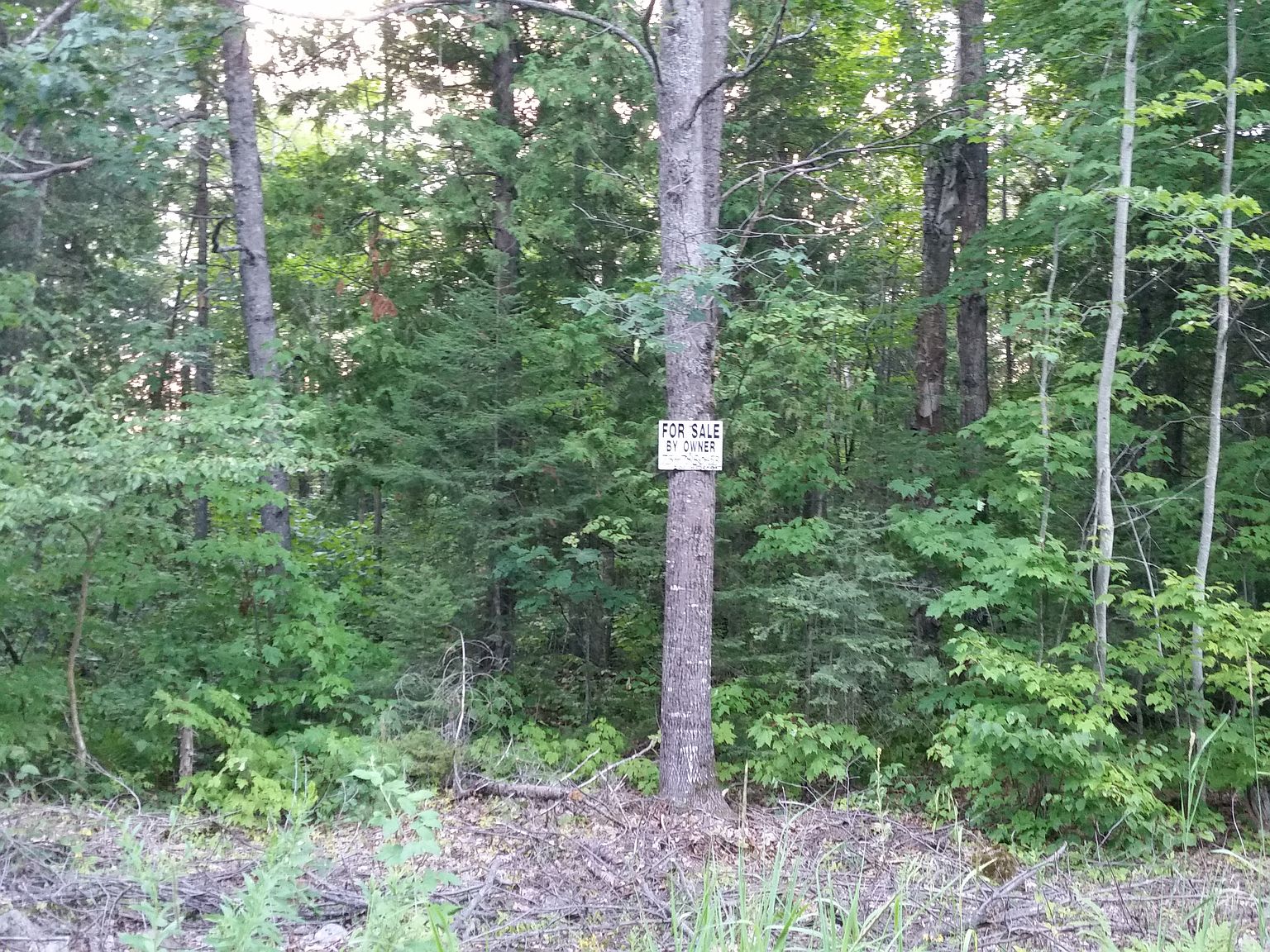 13100 Westshore, Sugar Island, MI 49783 Zillow