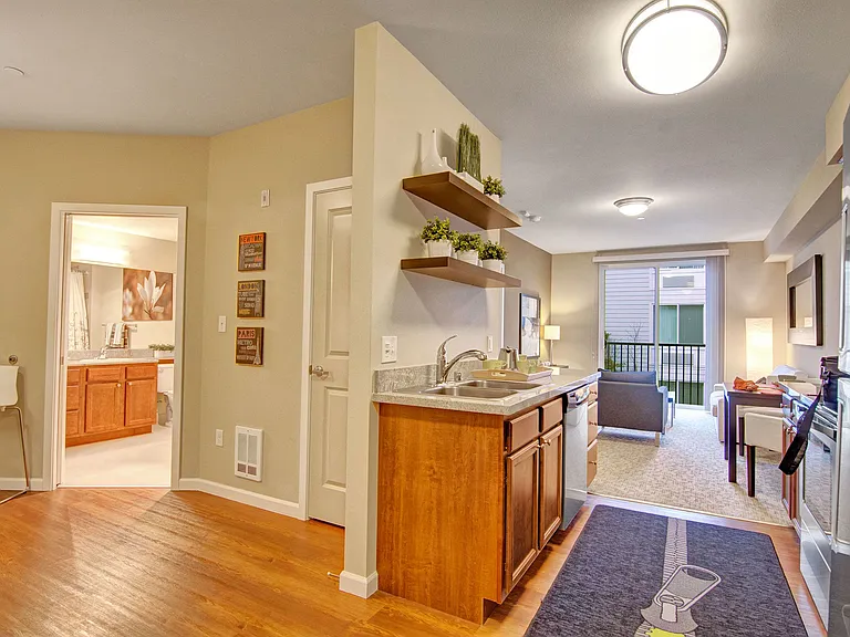 An open kitchen with stainless steel appliances and shelving with a view through to the living area