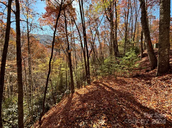 33 Coppermine Rdg, Whittier, NC 28789