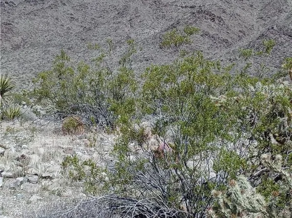 0 W Floral Dr, Meadview, AZ 86444