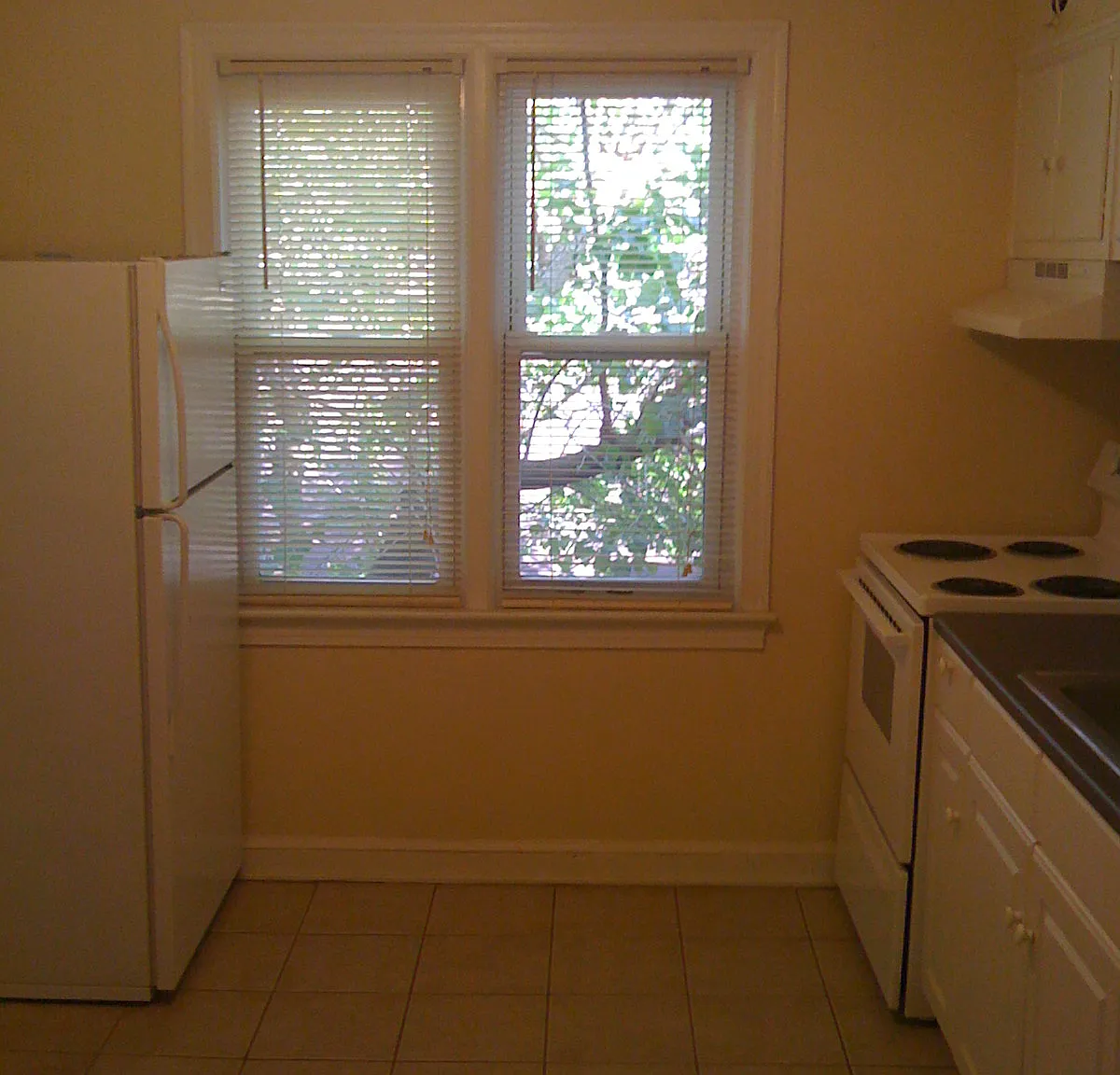 4236 Benning Road, NE - 302 — Photo 3